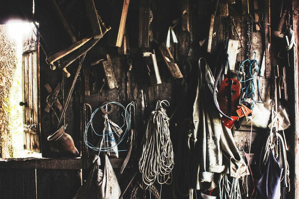 Rerum nisi